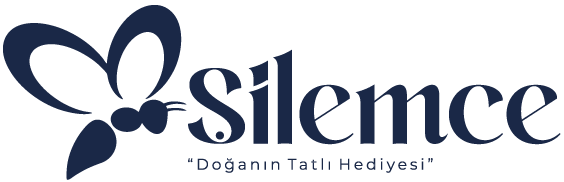 şilemceballogodark