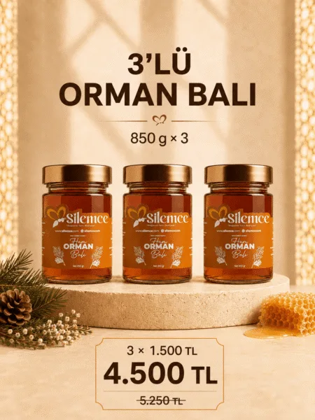 Orman balı seti - Şilemce 3 adet 850 gr ham orman balı avantajlı paket