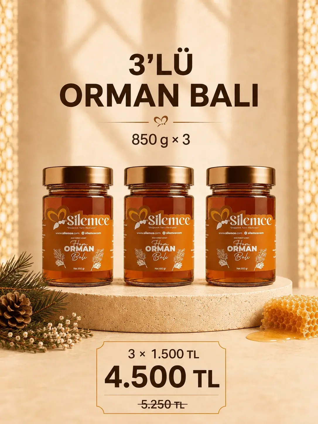 Orman balı seti - Şilemce 3 adet 850 gr ham orman balı avantajlı paket