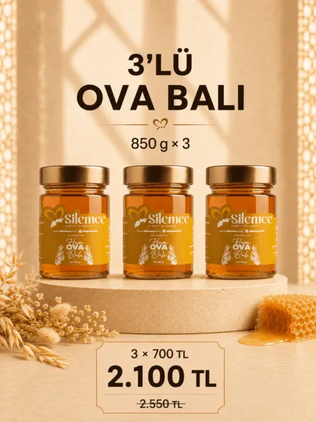 Ova balı seti - Şilemce 3 adet 850 gr ham ova balı avantajlı paket