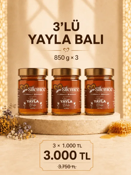 Yayla balı seti - Şilemce 3 adet 850 gr ham yayla balı avantajlı paket