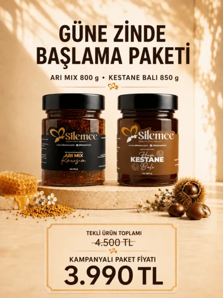 Güne zinde başlama paketi - Şilemce arı mix karışım 800 gr ve ham kestane balı 850 gr