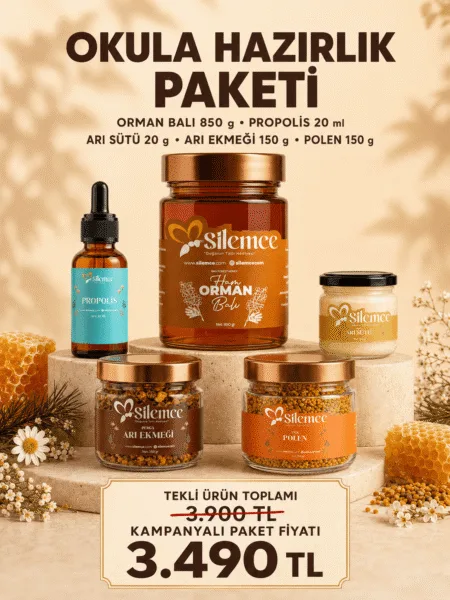 Okula hazırlık paketi - Şilemce ham orman balı 850 gr, propolis 20 ml, arı sütü 20 gr, arı ekmeği 150 gr ve polen 150 gr