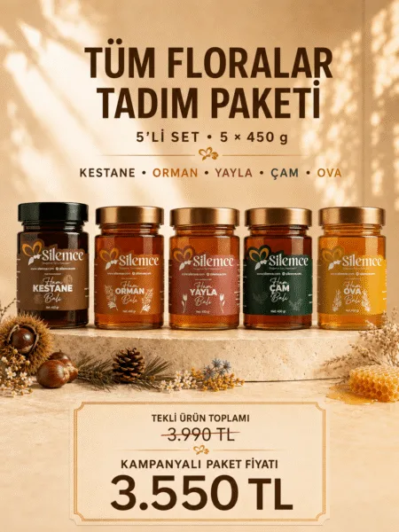 Tadım paketi - Şilemce 5'li bal seti: kestane, orman, yayla, çam ve ova balı 450 gr