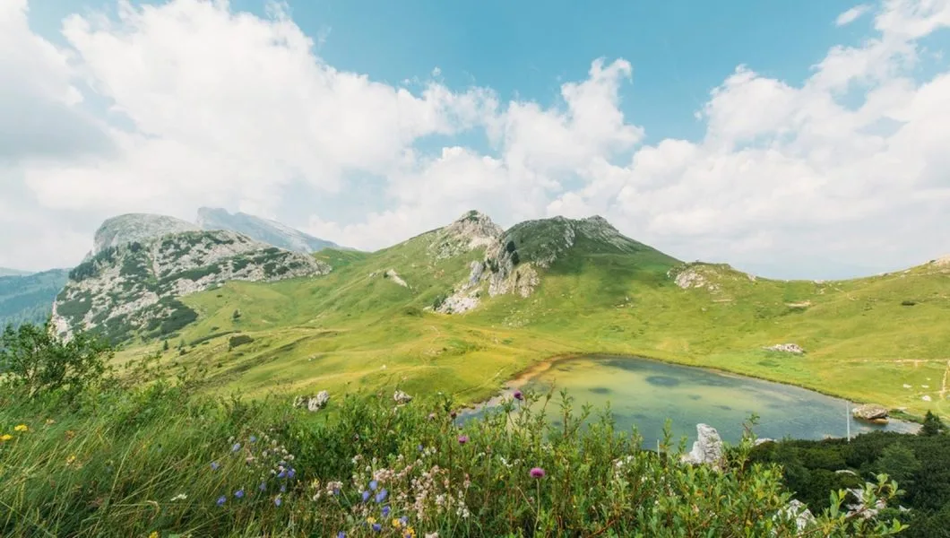 Yayla balı nedir konusunu anlatan görsel: yüksek rakımlı dağ yaylası ve çiçekli çayır