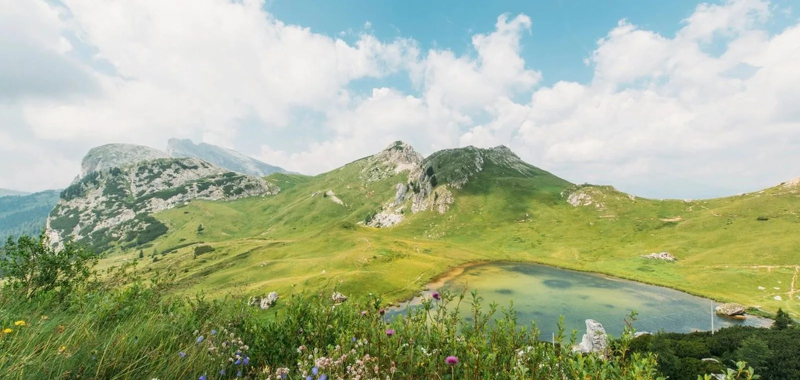 Yayla balı nedir konusunu anlatan görsel: yüksek rakımlı dağ yaylası ve çiçekli çayır